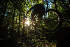 MTB_Wald